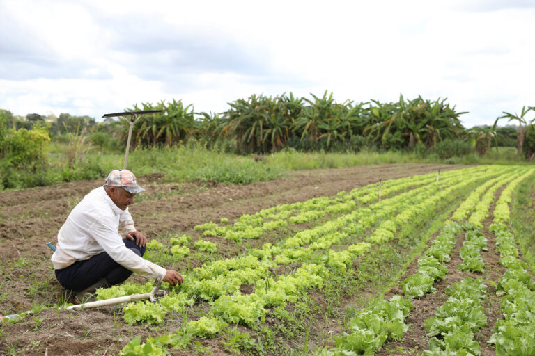 Como solicitar a regularização fundiária se você ocupa área rural no DF