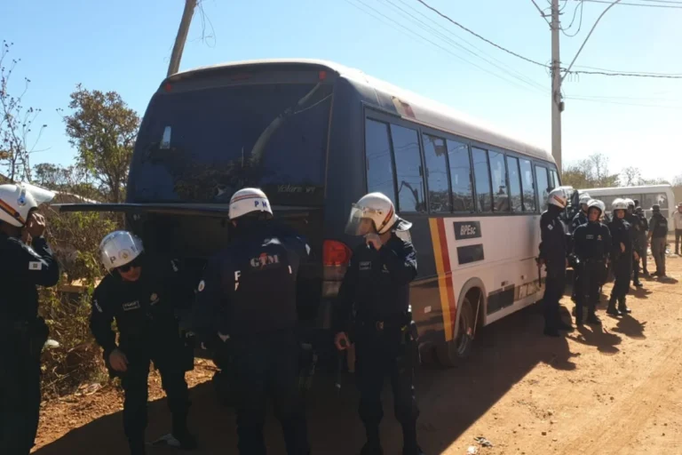 DF Legal realiza nova operação para impedir invasão no Parque Nacional de Brasília